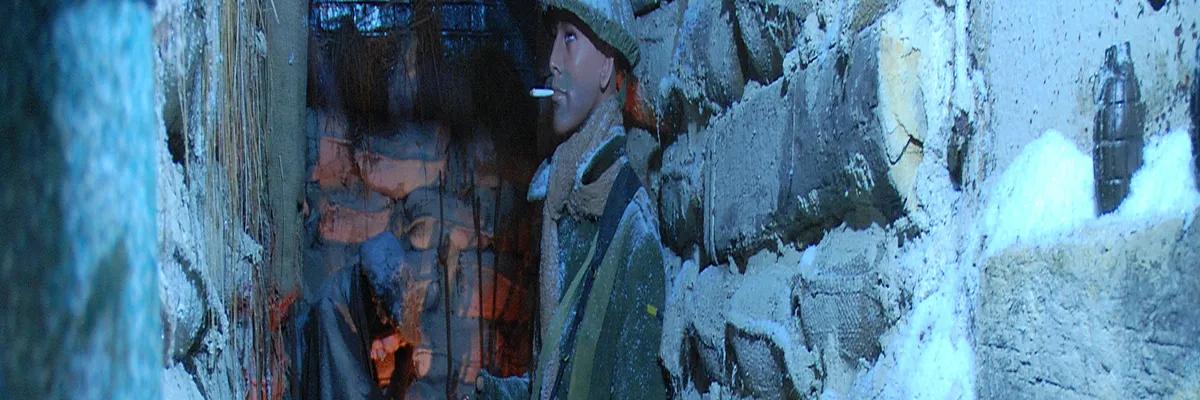 Image Installateur abri de piscine Albert