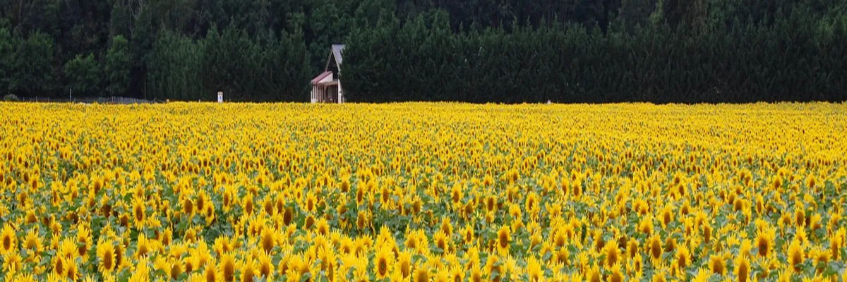 Image Installateur abri de piscine Centre-Val de Loire