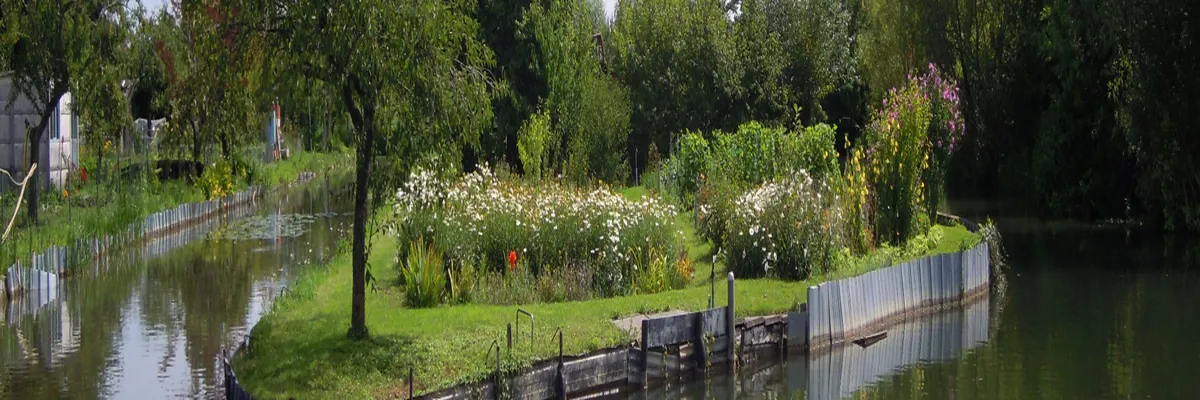 Image Installateur abri de piscine Cher