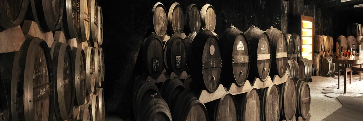 Image Installateur abri de piscine Cognac