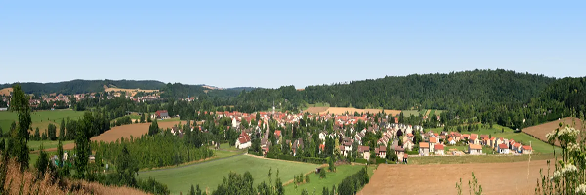 Image Installateur abri de piscine Commercy