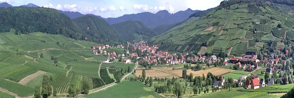 Image Installateur abri de piscine Grand Est