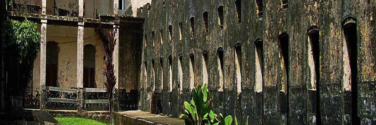 Image Installateur abri de piscine Guyane