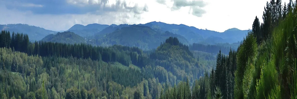 Image Installateur abri de piscine Haute-Vienne
