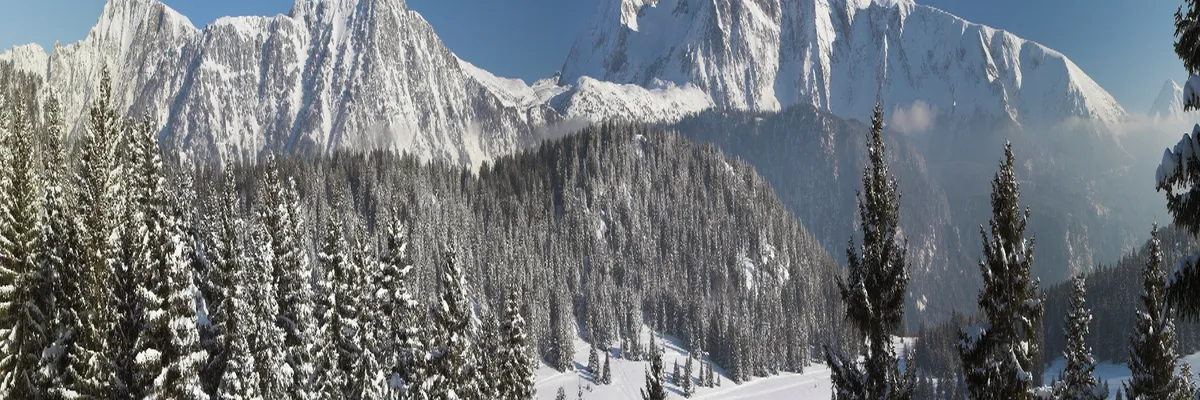 Image Installateur abri de piscine Isère