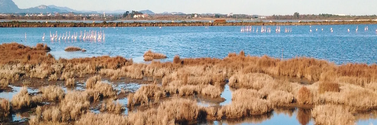 Image Installateur abri de piscine Lattes