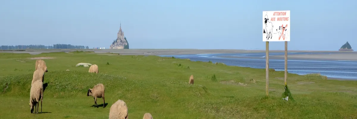 Image Installateur abri de piscine Manche