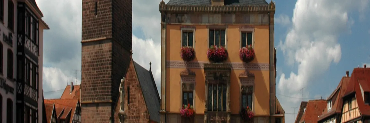 Image Installateur abri de piscine Obernai