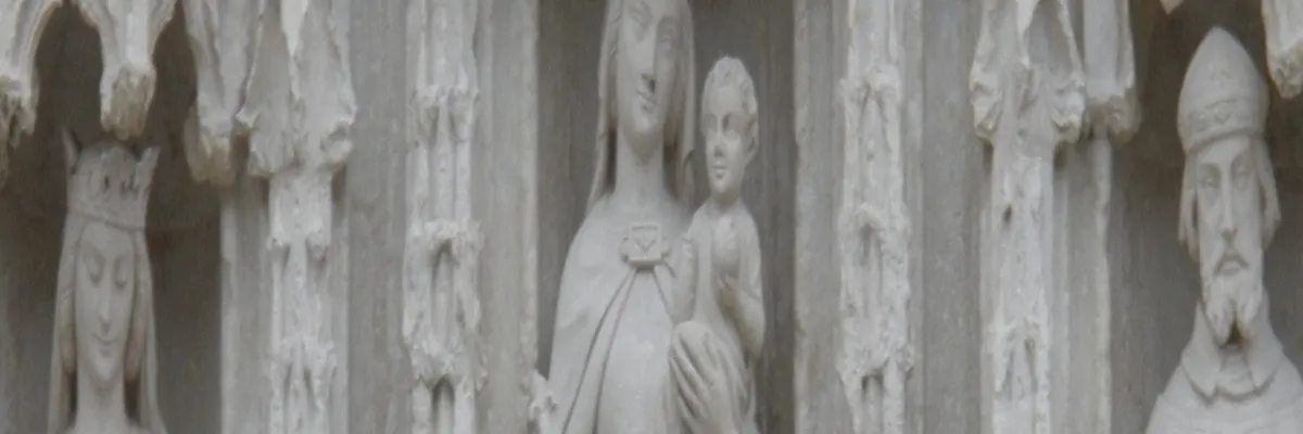 Image Installateur abri de piscine Poitiers