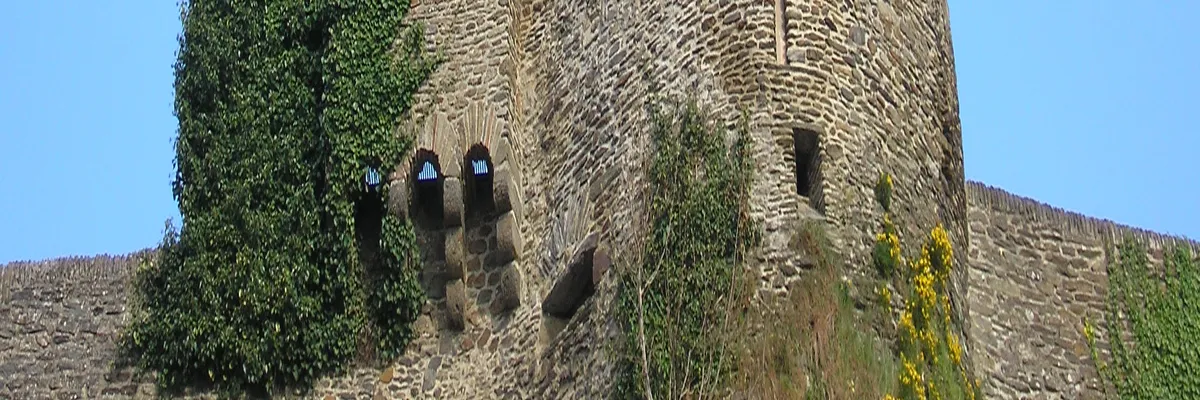 Image Installateur abri de piscine Saint-Lô