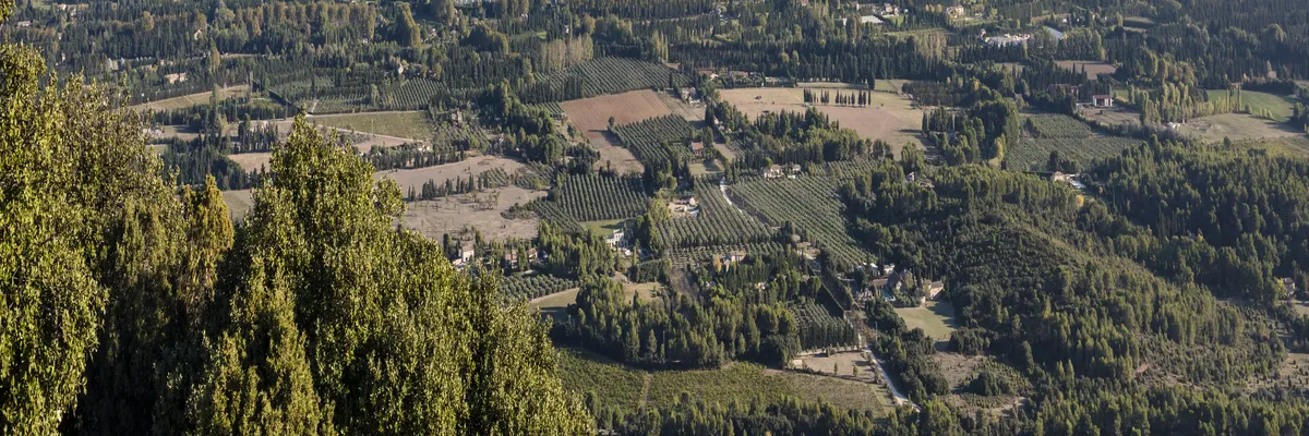 Image Installateur abri de piscine Saint-Rémy-de-Provence