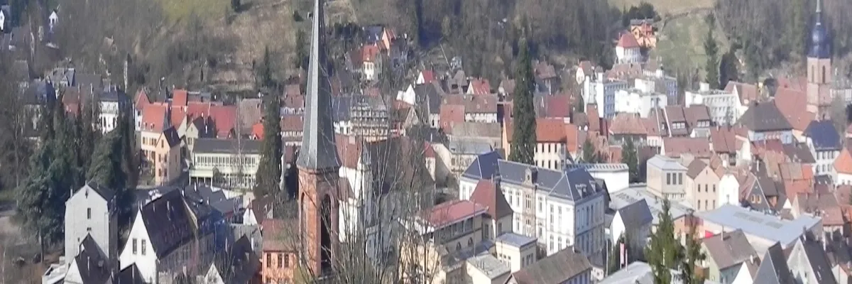 Image Installateur abri de piscine Sainte-Marie-aux-Mines