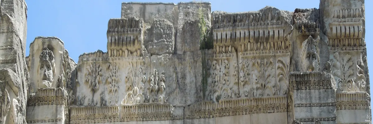 Image Installateur abri de piscine Vienne