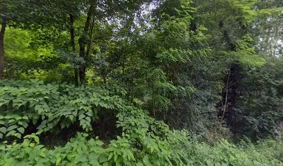 Image de Abris pour Cycles et Jardin