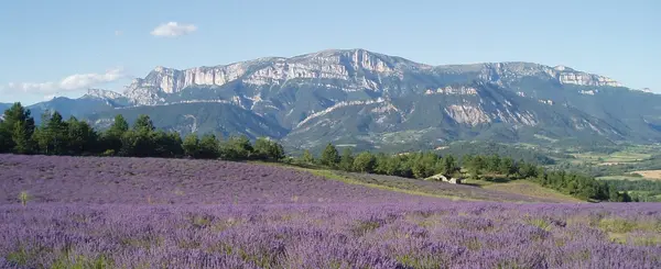 Abri Piscine Prix Installateur abri de piscine Drôme