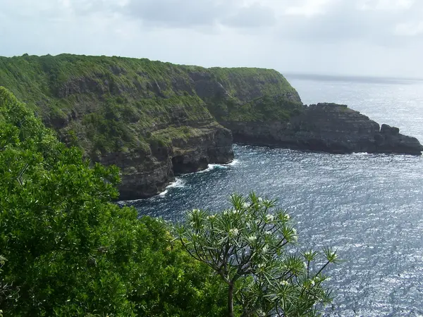 Abri Piscine Prix Installateur abri de piscine Guadeloupe