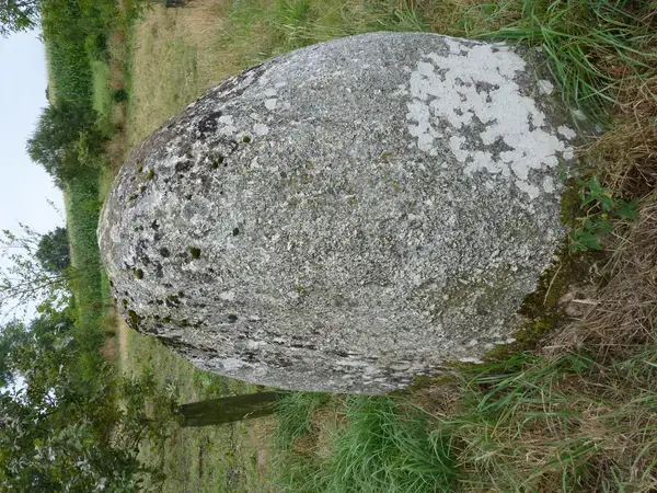 Abri Piscine Prix Installateur abri de piscine Plaintel